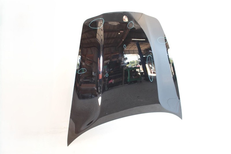 10-16 Porsche Panamera Black Hood Assembly