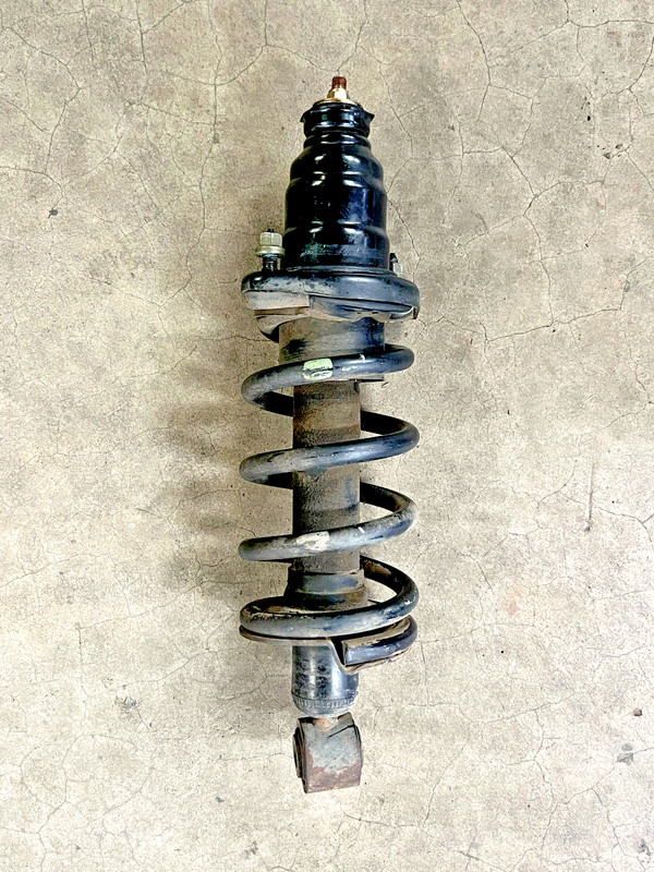 ⭐2003-2011 HONDA ELEMENT EX REAR RIGHT SIDE STRUT SHOCK ABSORBER OEM LOT2532
