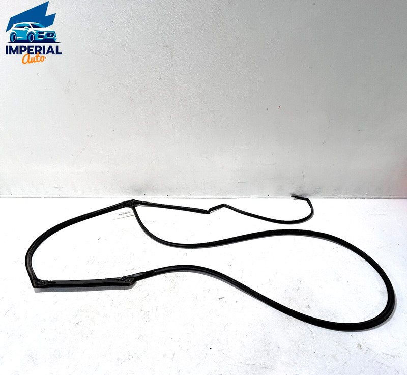 HONDA ACCORD LX 2018-2020 REAR RIGHT PASSENGER SIDE DOOR WEATHERSTRIP SEAL OEM