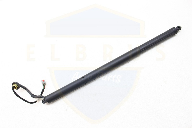 2018-2024 LINCOLN NAVIGATOR POWER TAILGATE LIFT SUPPORT CYLINDER SHOCK STRUT #1