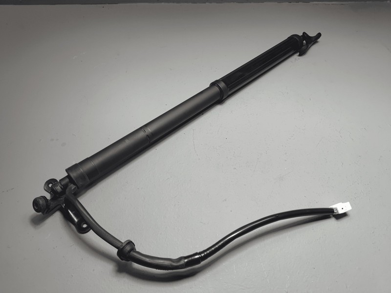 2019-24 Toyota RAV4 Rear Left Driver Side Liftgate Shock Strut Lift Support OEM