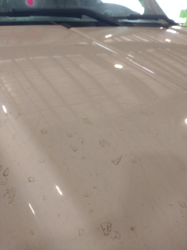 2012 Chevrolet Silverado 1500 Pickup OEM White Hood Panel DING 4DR PU WHT