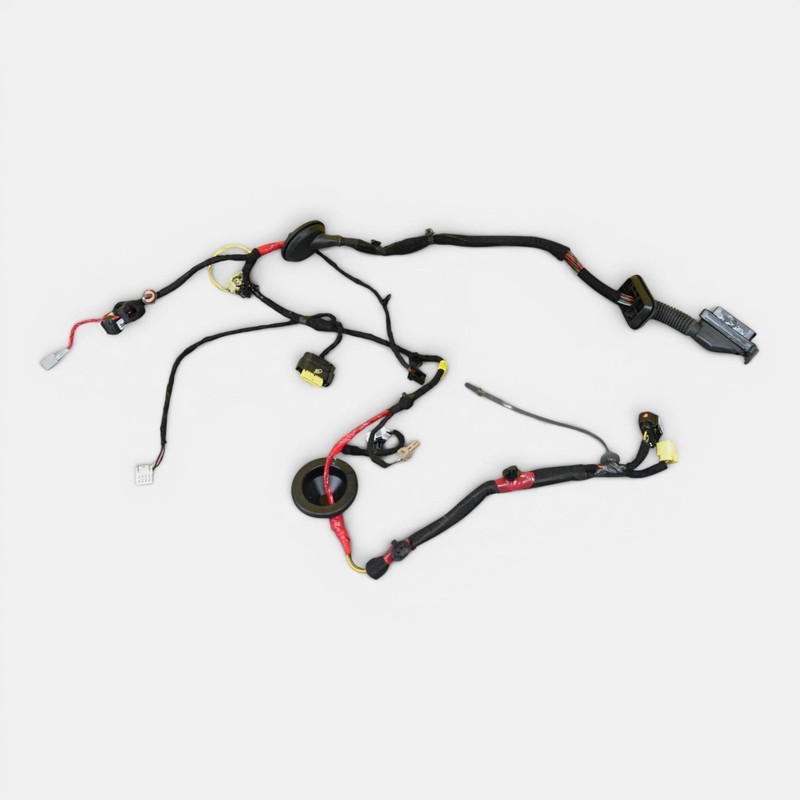 2022-2024 KIA EV6 Front Right Side Door Wire Harness Oem 91611cv920a