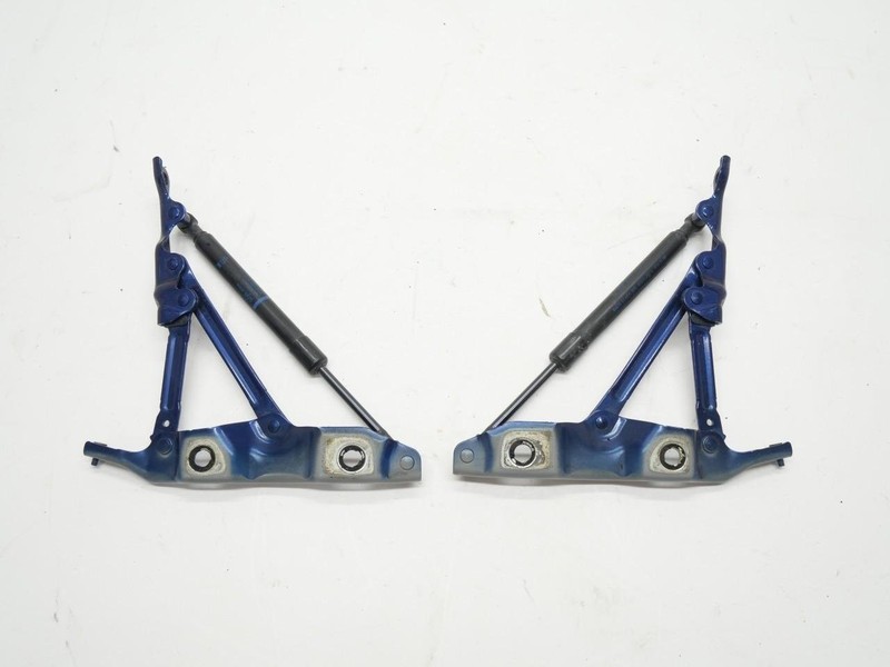 2017-2021 Infiniti Q60 Rear Trunk Boot Deck Lid Hinge Pair Set (2) OEM BLUE