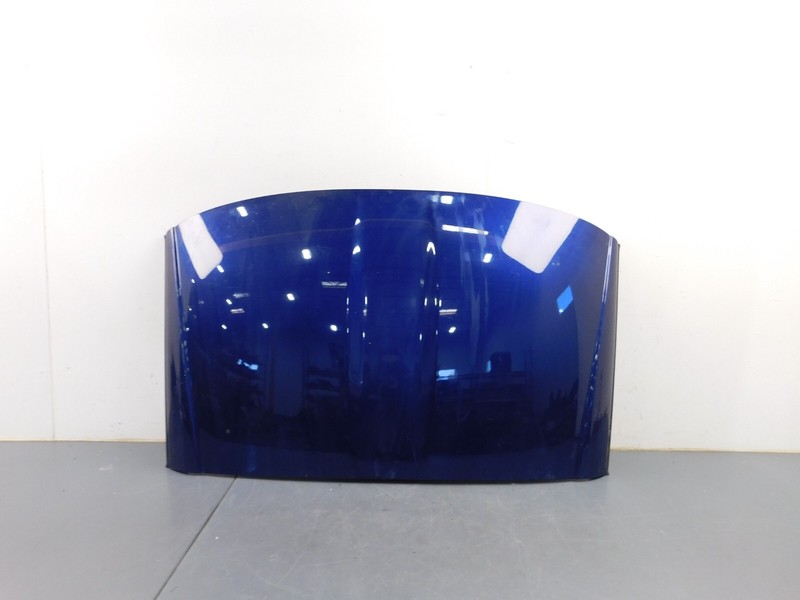 2007 06 - 13 Chevy Corvette C6 Z06 Targa Roof Panel #3748 C4