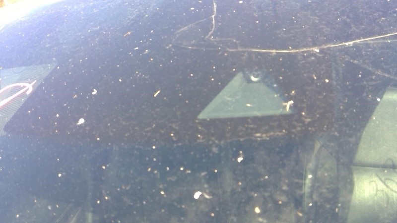 Camera/Projector Camera Front Lane Keep Assist Fits 19-23 MAXIMA 735846
