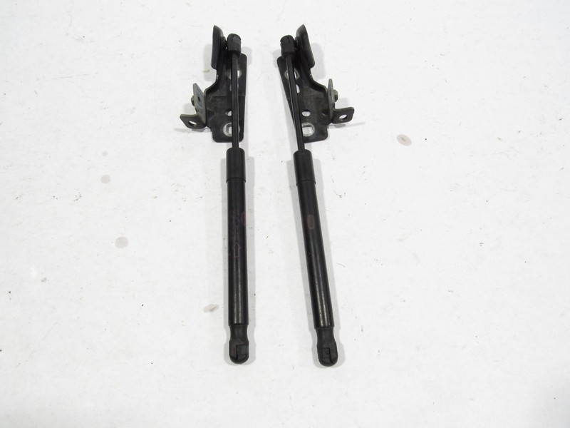 15-19 Land Rover Discovery Sport 2018 Front Right Left Hood Shock Strut Set ;