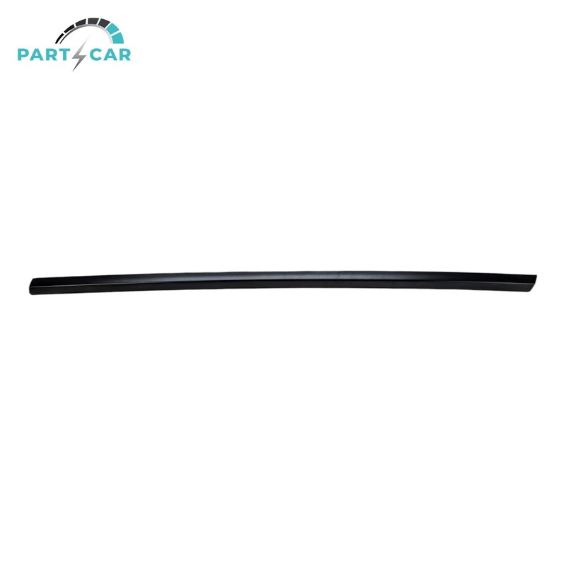 2021-2023 Tesla Model 3 Front Left Driver Door Window Black Belt Molding OEM