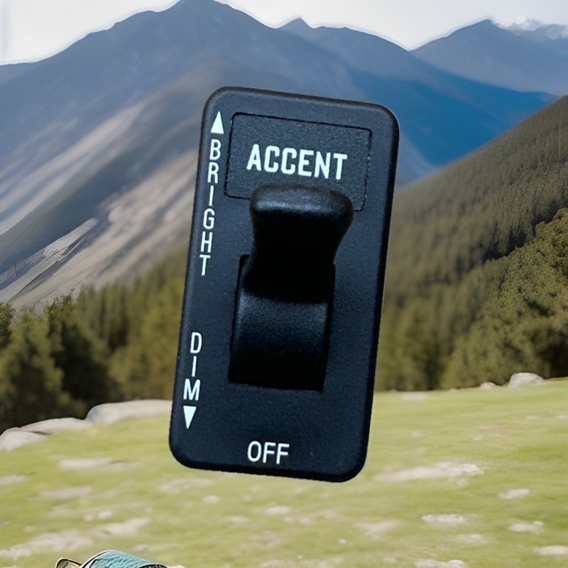 ✅ 2021 INTERNATIONAL LT ACCENT ACCESSORY DIM LIGHT SWITCH OEM ✅