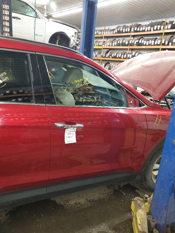 Passenger Right Front Door LWB Fits 15-19 SANTA FE 293723