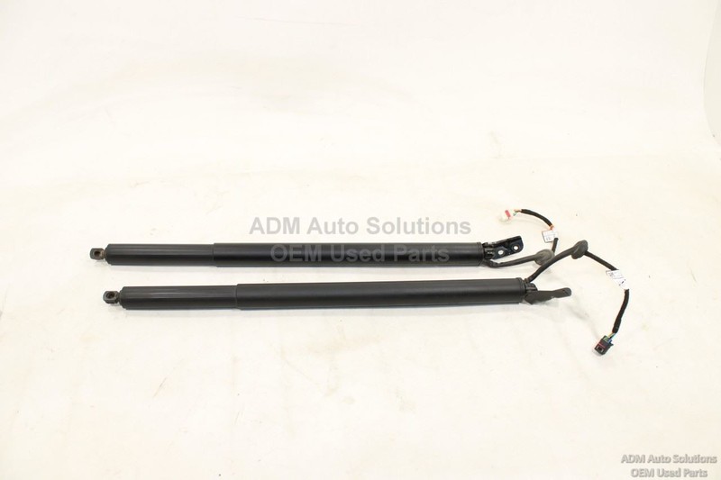 2020-2025 HYUNDAI PALISADE Rear Hatch Liftgate Tailgate Power Lift Shock Set OEM
