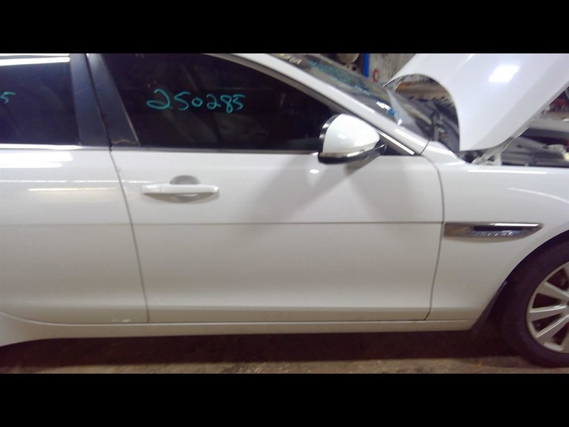 Passenger Front Door Chrome Without Black Accent Trim Fits 17-19 XE 1633040