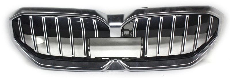 OEM Upper Grille Insert For BMW 530i, 540iX, i5 51-13-5-A01-7A9 Silver surround
