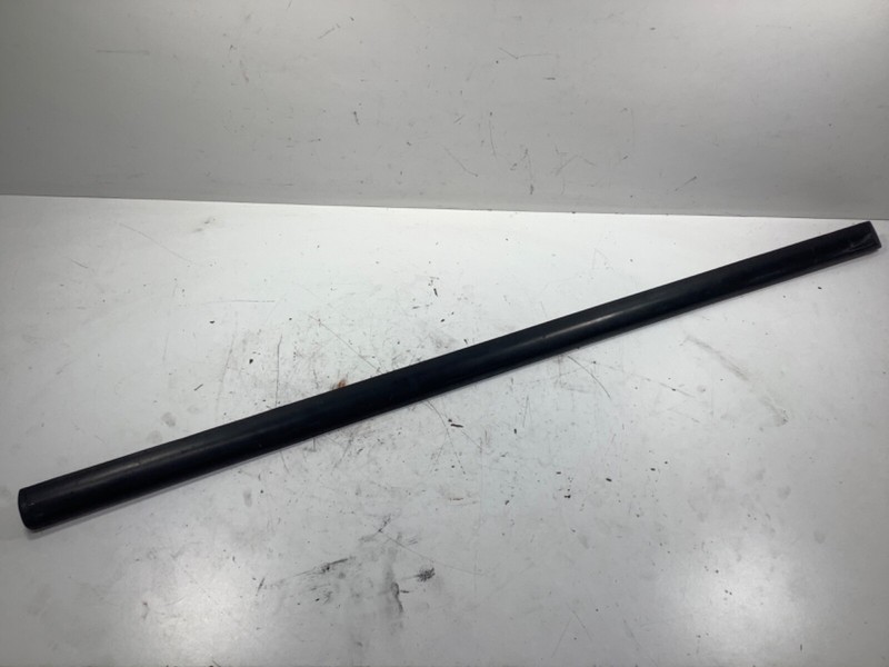95-98 Honda Odyssey Left Front Door Protector Molding 75322-SX0-A11 OEM