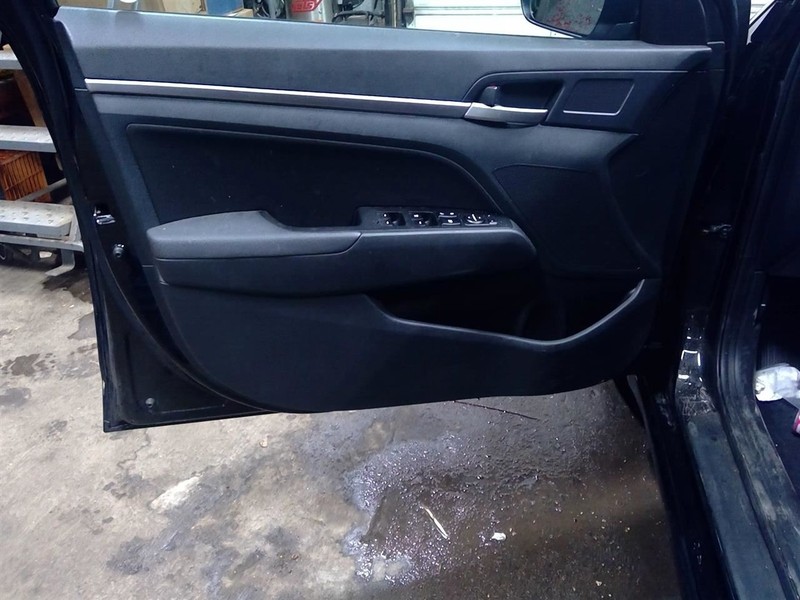 ELANTRA 2020 Driver Left Front Door Trim Panel 1758517
