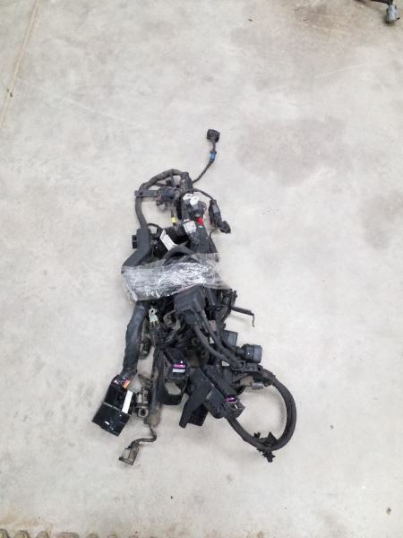 OPTIMAKIA 2008 Engine Wire Harness 244181