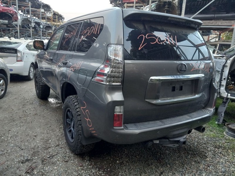 Rear Axle Coil Spring Fits 10-23 LEXUS GX460 570747