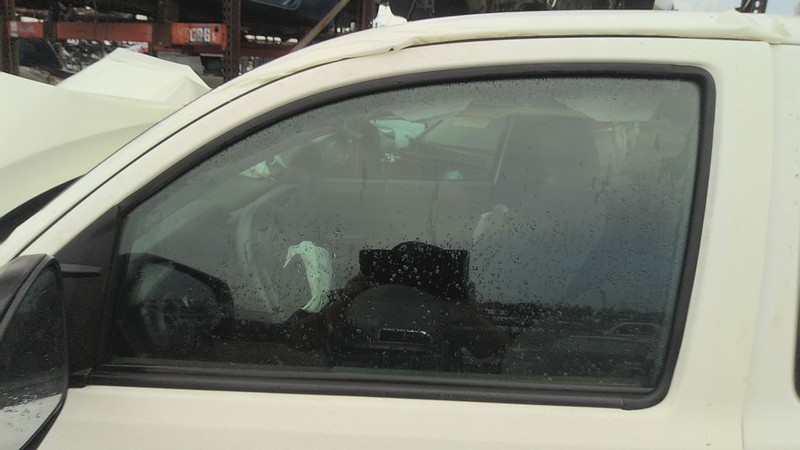 Front Door Glass/window TOYOTA TACOMA Left 16 17 18 19 20 21 22 23