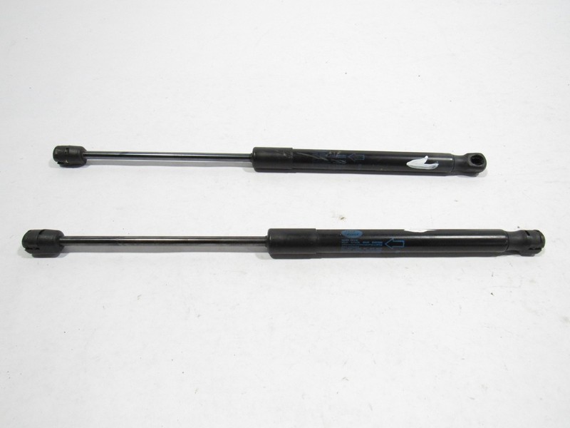 Land Range Rover Evoque 2023 Front Hood Bonnet Strut Shock Set 2 PCS 20-24 ; :A
