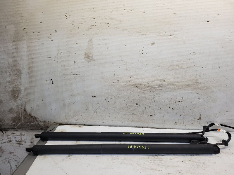 Pair Of Liftgate Supports 2019 Infiniti QX50 905605NA0A
