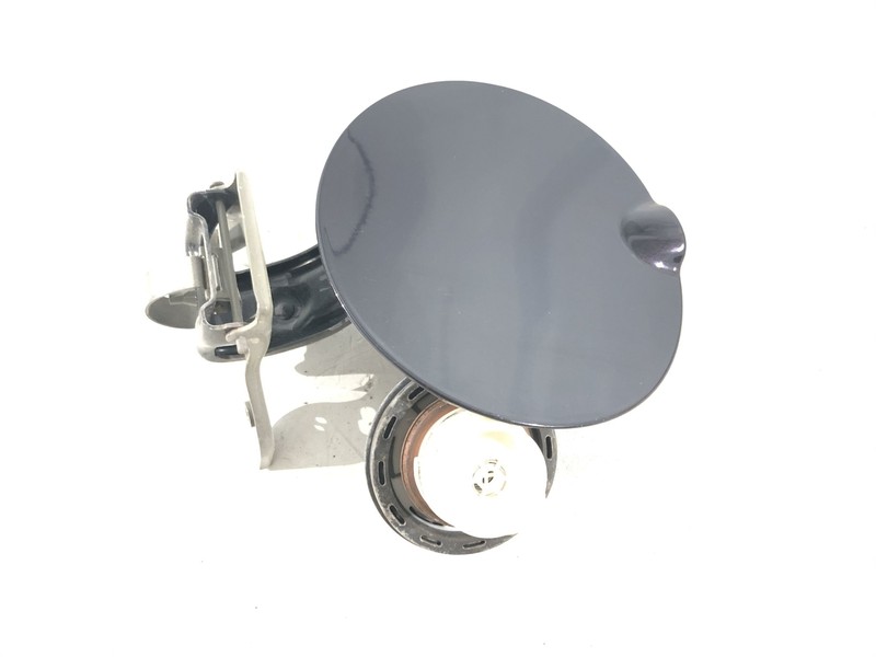 2007-2010 Ford Edge Deep Amethyst Fuel Gas Tank Door Assembly (PG) Oem