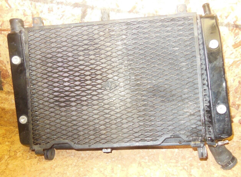 2003 Yamaha FZS1 FZ1 FZ 1 FZS1000 1000 Fazer Radiator Coolant Cooling Grill 03