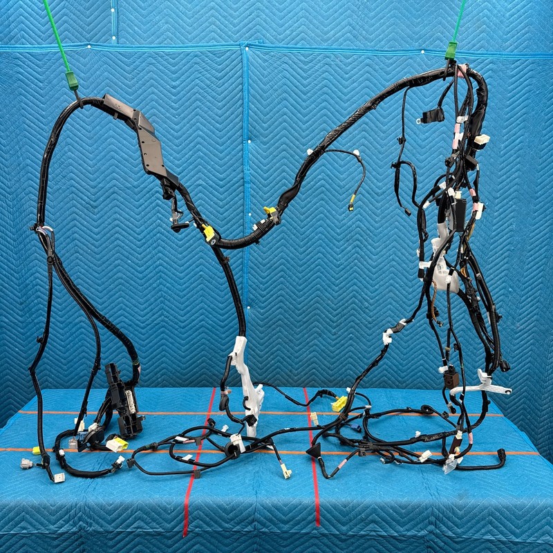 2015–2019 Lexus RC350 Left Body Interior Wiring Harness OEM 8216124C80