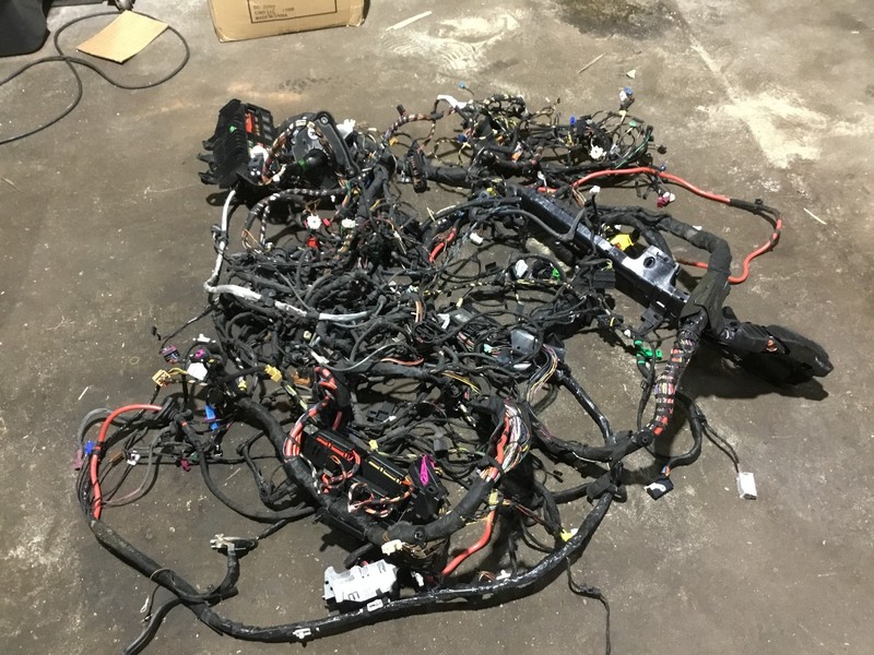 Audi S4 2019 B9 3.0L Main Body Chassis Loom Wire Wiring Harness ;:Y
