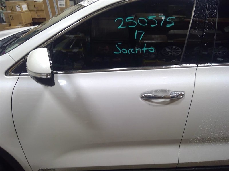 Driver Front Door Thru 06/03/18 Fits 16-19 SORENTO 1729946