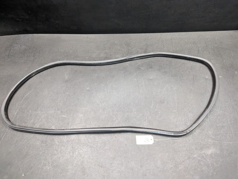 Rear Left Door Body Weatherstrip 2022 BMW X1 51727440034 2016 2017 2018 - 2021