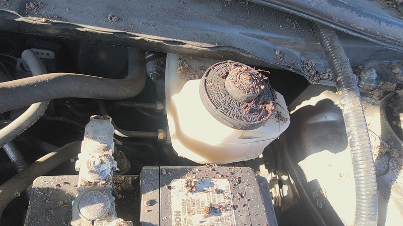 Master Cylinder TOYOTA CAMRY 18 19 20 21 22 23 24