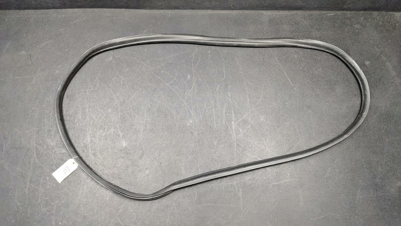 Rear Right Door Body Weatherstrip 2018 Ford EcoSport GN15-N24754-BA 2019 2020