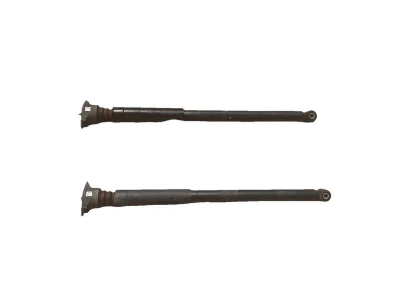 2018-2021 FORD ECOSPORT 1.0L REAR LEFT & RIGHT SIDE SHOCK STRUT ABSORBER SET OEM