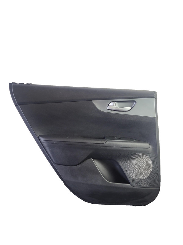 2019-2021 KIA FORTE Rear Left Driver Door Trim Panel OEM 2.0L FWD