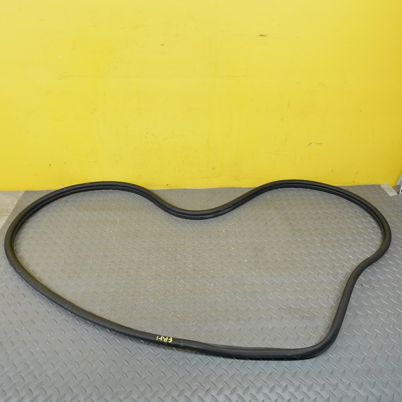 2022-2025 HYUNDAI IONIQ 5 FRONT RIGHT SIDE DOOR SEAL WEATHER STRIPPING OEM