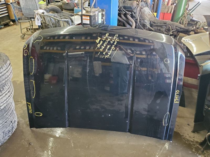Hood Fits 07-13 SILVERADO 1500 PICKUP 285965