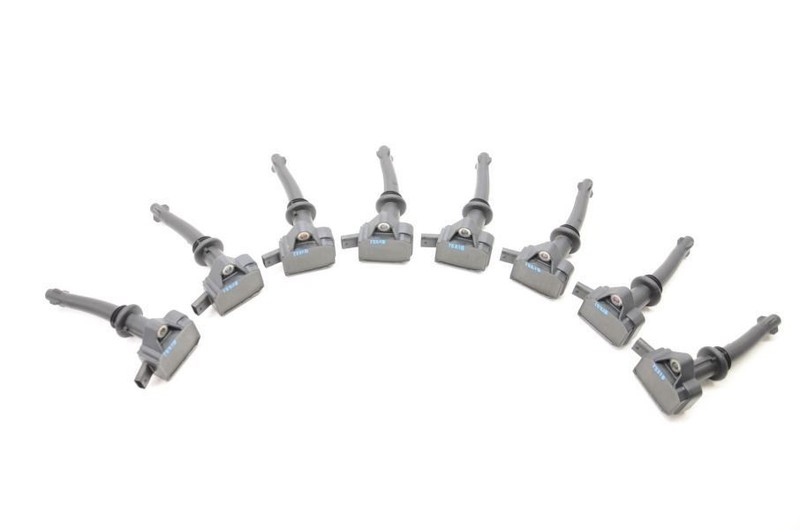 2010-2013 Range Rover Sport HSE Set of 8 Coils 8W9312A366DA