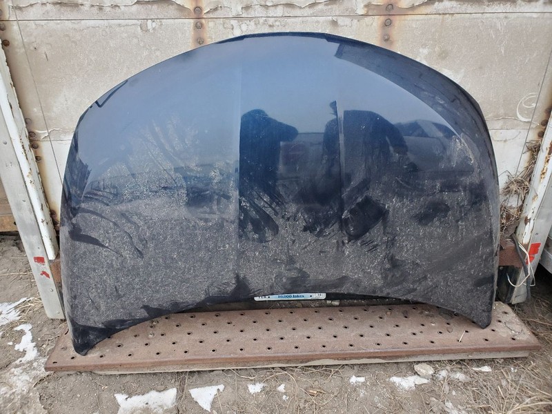 Hood Fits 07 MURANO 292573