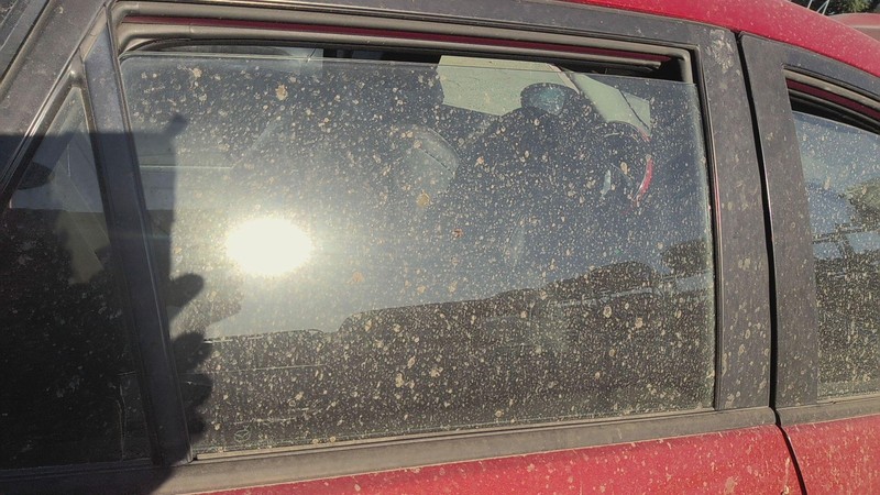 Rear Door Glass/window MAZDA 3 Right 10 11 12 13