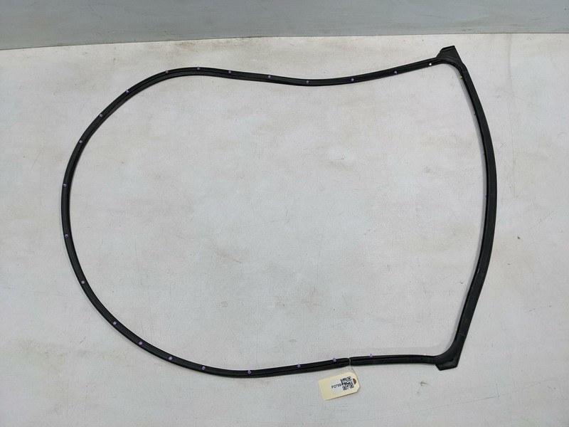 Right Passenger Rear Door Weatherstrip 5755A410 2020 Mitsubishi Eclipse 18 2019