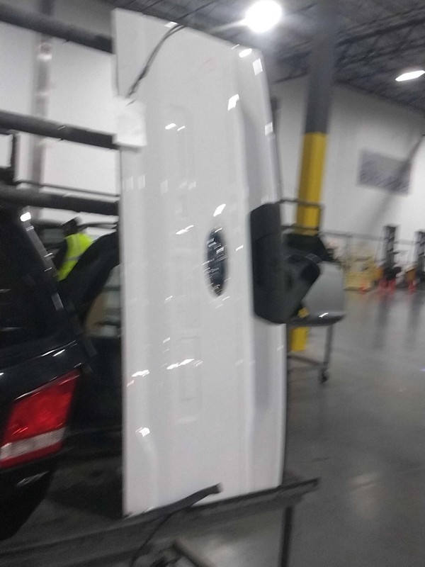 2021 Ford F150 Pickup OEM Used White Tailgate ML3Z19G490C 40K Miles