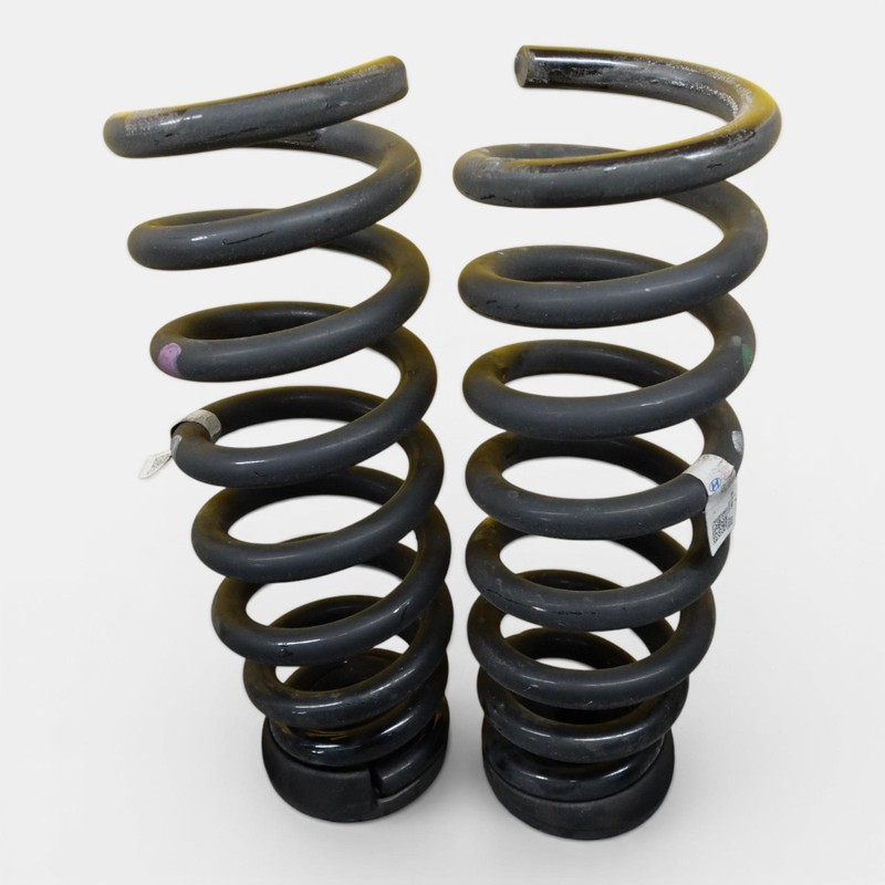 2022-2024 KIA EV6 Left Right Rear Suspension Coil Spring Set OEM 55330cv100