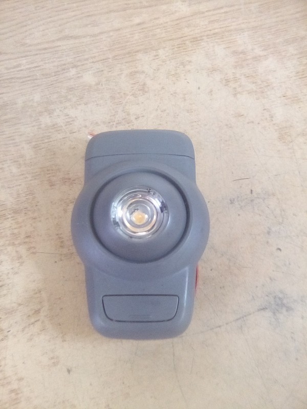 Peterbilt/Paccar P54-1213-101711 Swivel Dome Light