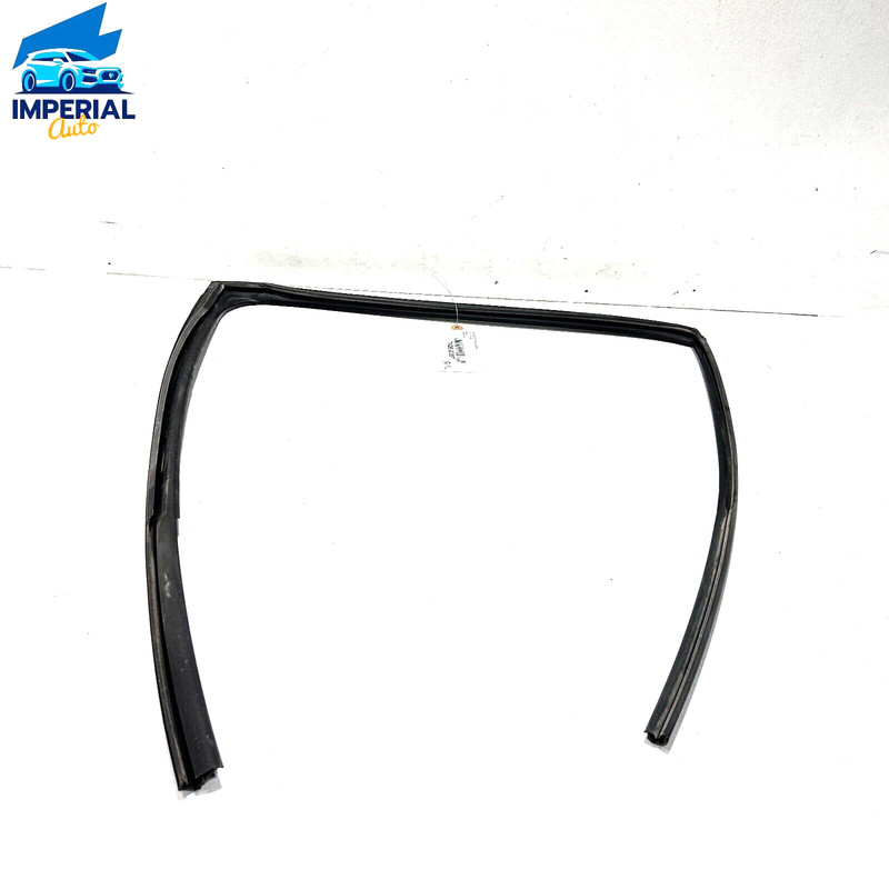 18-23 Toyota Camry Rear Driver Glass Window Run Channel Weatherstrip Seal OEM