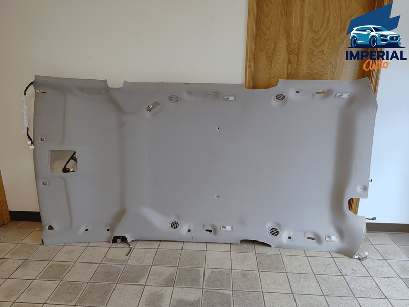 2018-2019 TOYOTA SIENNA LE ROOF HEADLINER CEILING PANEL TRIM COVER OEM