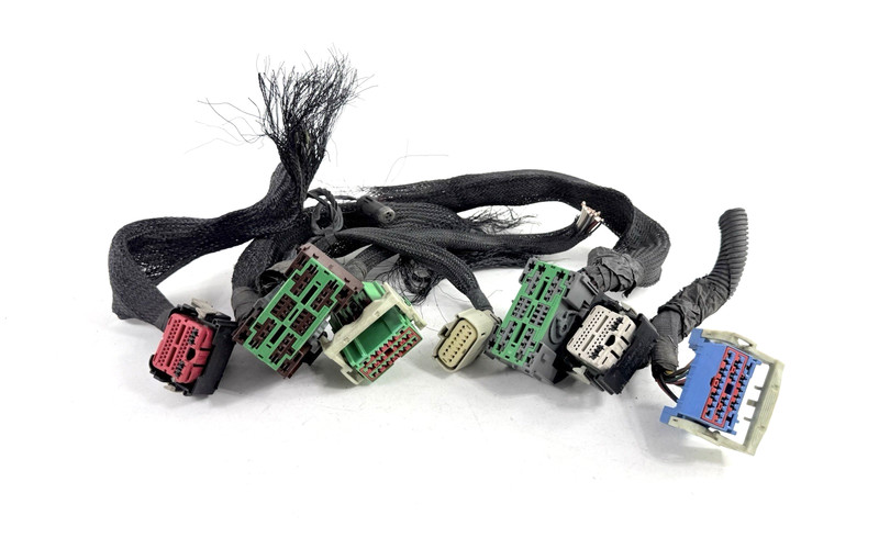 WIRING HARNESS PLUG CONNECTORS 2008 Town & Country FUSEBOX TIPM # 56049720AR