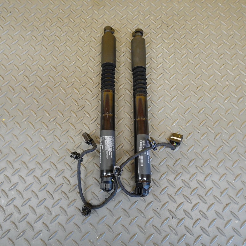 2016-2020 TESLA MODEL X REAR LEFT RIGHT SECONDARY FALCON DOOR LIFT STRUT SET OEM