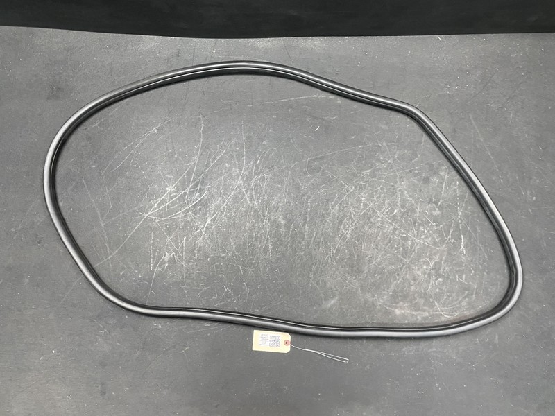 Rear Right Door Body Weatherstrip 2018 BMW X1 51727440034 2016 2017 2019 - 2022