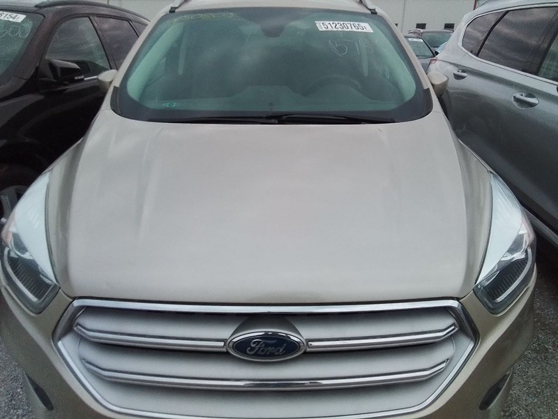 Hood Fits 17-19 ESCAPE 3506353
