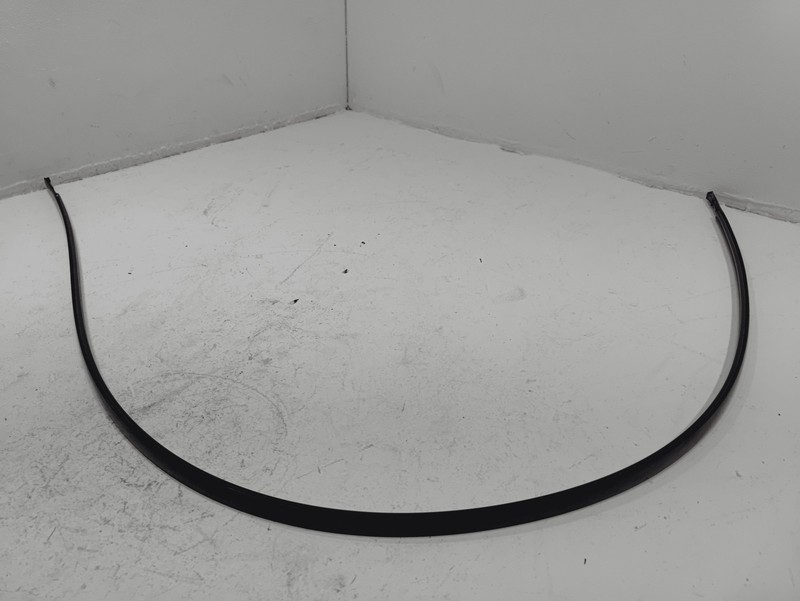 2018-2025 TOYOTA CAMRY ROOF LEFT DRIVER SIDE DRIP MOLDING TRIMOEM